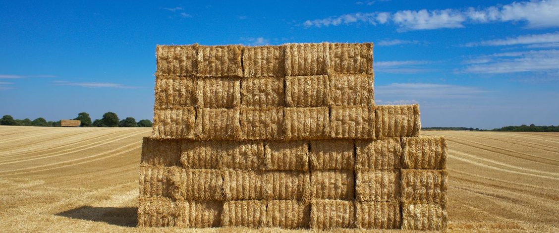 A tall stack of rectangular golden hay bales in a harvested field under a bright blue sky with white clouds