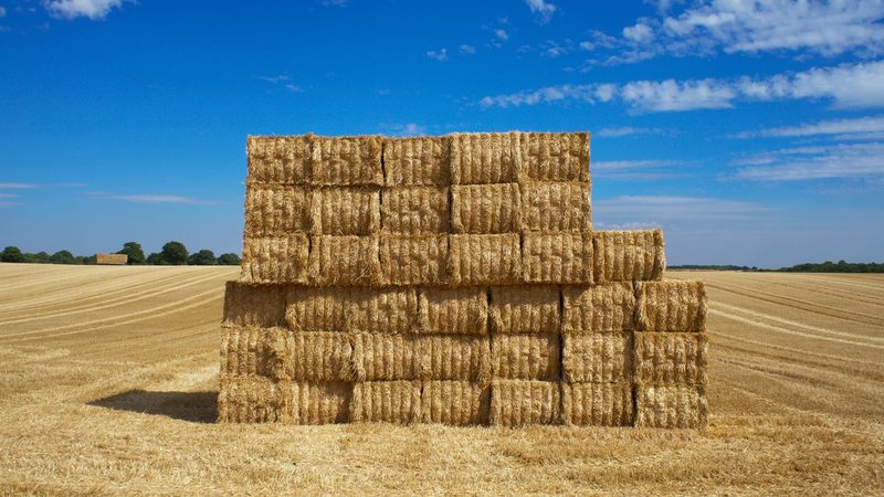 A tall stack of rectangular golden hay bales in a harvested field under a bright blue sky with white clouds